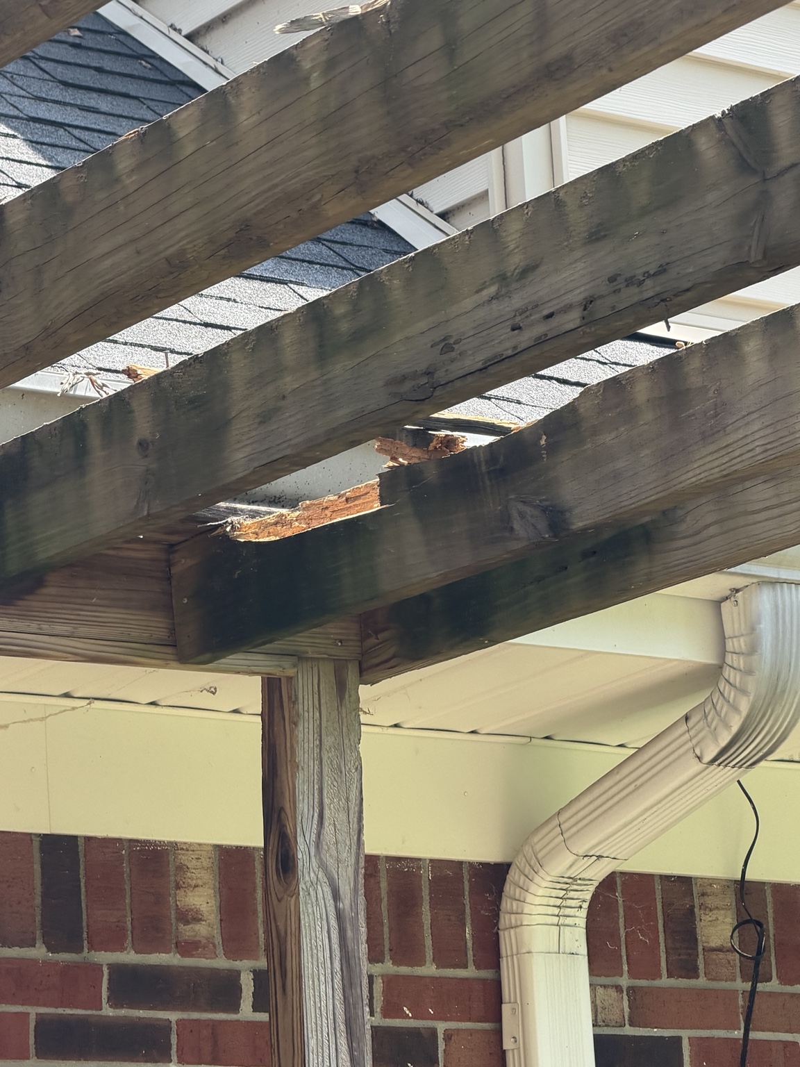 Porch framing and floor rebuild